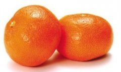 橘子的功效和作用_橘