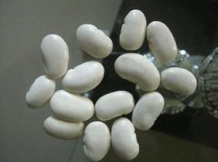 白芸豆的功效和作用_白芸豆的营养价值