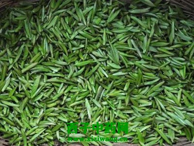 竹叶青绿茶的功效与作用 竹叶青绿茶多少钱