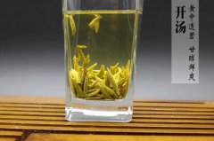 安徽黄茶的功效与作用