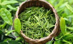 生鲜绿茶的制作及保存