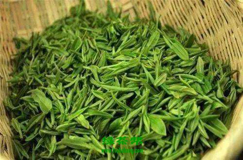 柳叶茶的最佳制作方法 柳芽茶的制作过程