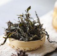 藤条古树茶的功效与作用 古树藤条茶的特点