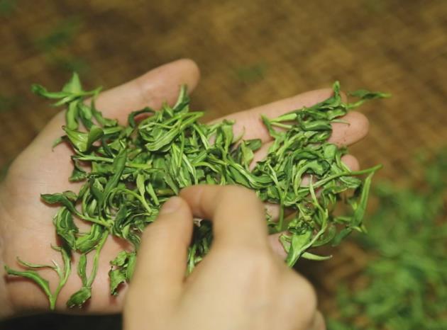 桂平西山茶的功效与作用 桂平西山茶多少钱一斤