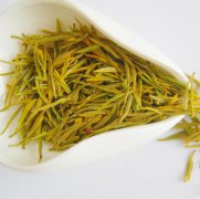 黄金芽属于什么茶 黄金芽茶的功效与泡法
