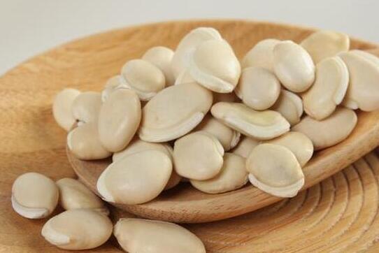 白扁豆的功效与作用及禁忌
