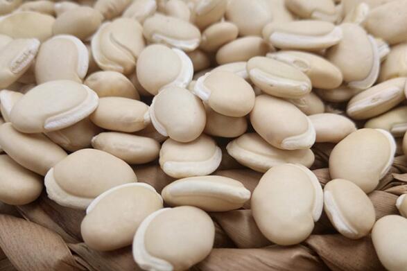 白扁豆与白芸豆的区别 吃白扁豆的好处